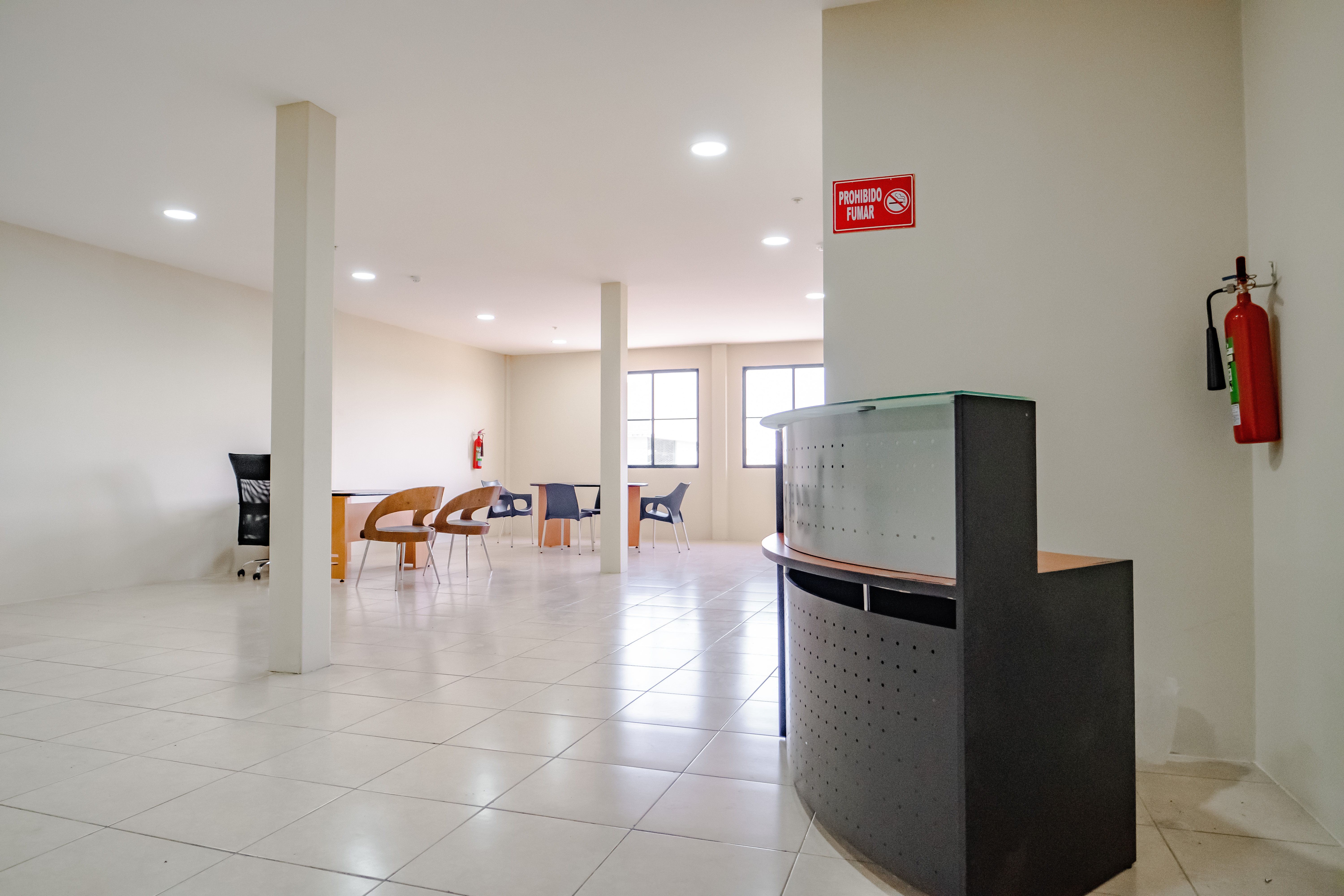 Imagen de galería